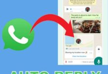 WhatsApp Business Auto Reply