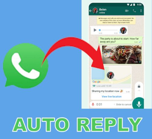 WhatsApp Business Auto Reply